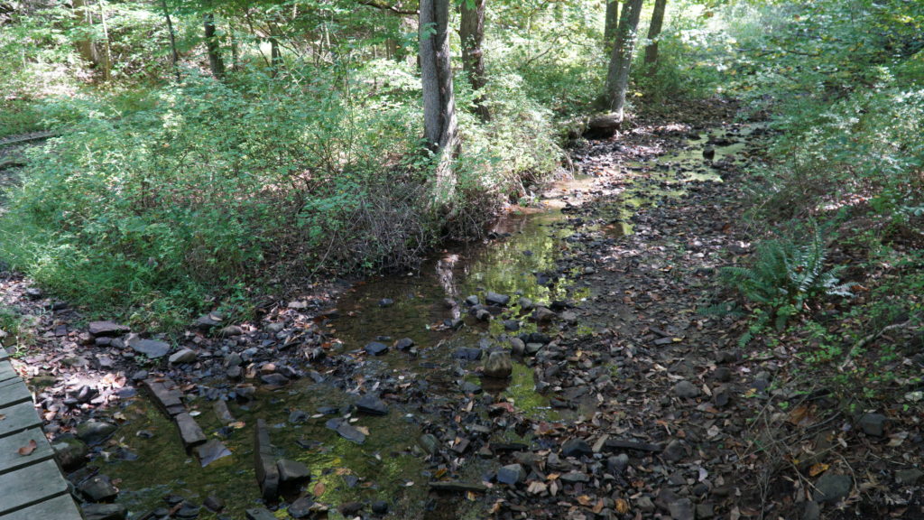 Watchung Reservation Visit