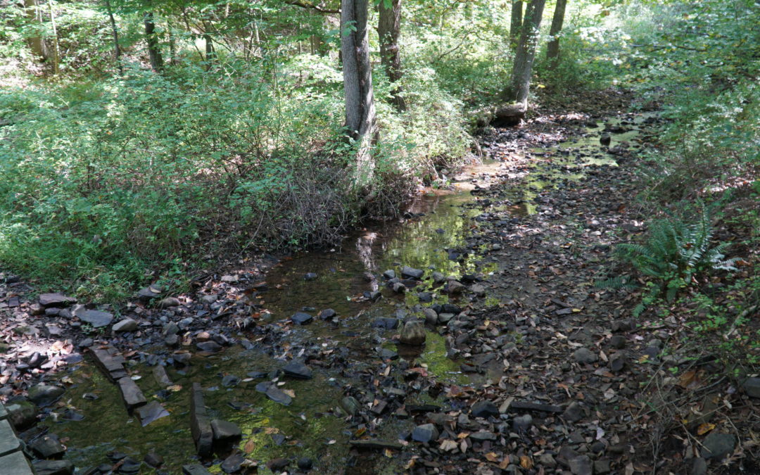 Watchung Reservation Visit