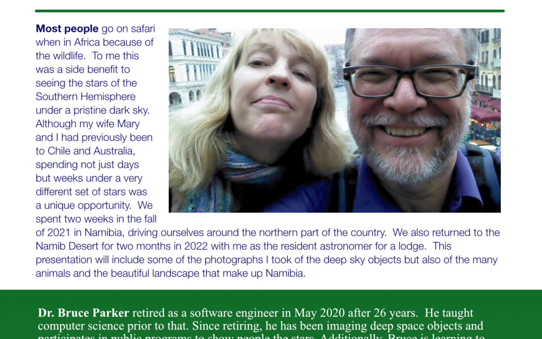 Wildlife and Night Sky of Namibia